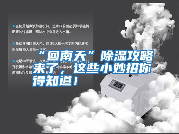 “回南天”除濕攻略來了，這些小妙招你得知道！