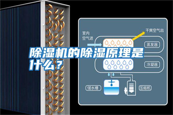除濕機的除濕原理是什么？