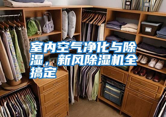 室內空氣凈化與除濕，新風除濕機全搞定
