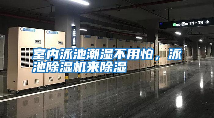 室內泳池潮濕不用怕，泳池除濕機來除濕