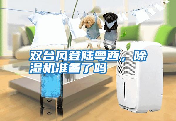 雙臺風(fēng)登陸粵西，除濕機準備了嗎