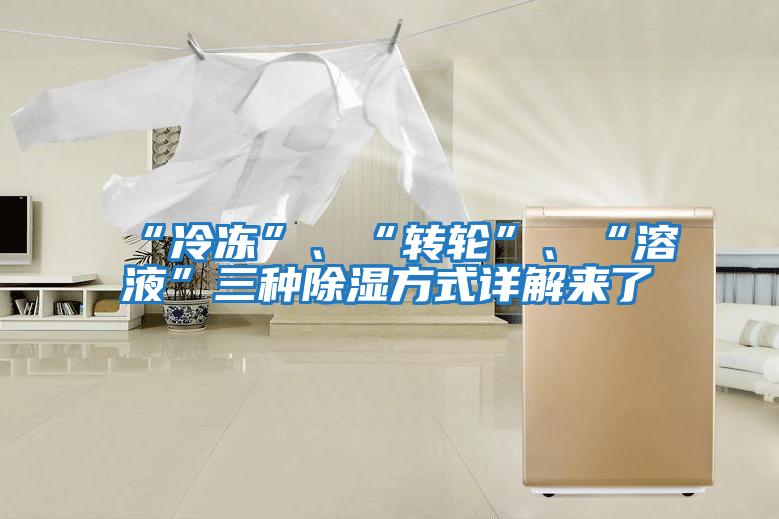 “冷凍”、“轉(zhuǎn)輪”、“溶液”三種除濕方式詳解來了