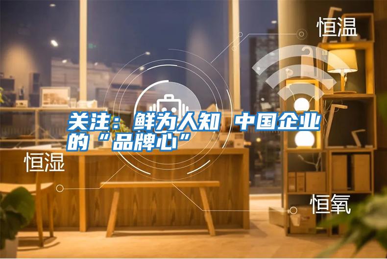 關注：鮮為人知 中國企業的“品牌心”