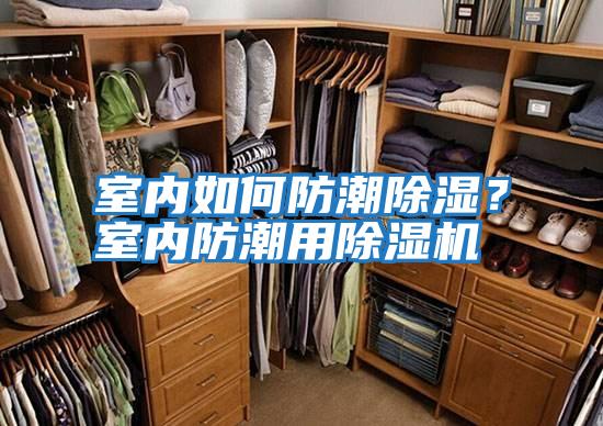 室內(nèi)如何防潮除濕？室內(nèi)防潮用除濕機(jī)