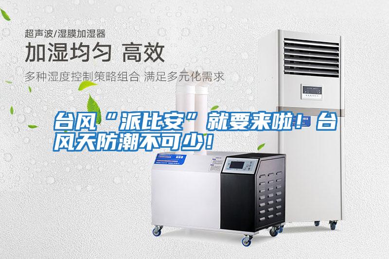 臺風(fēng)“派比安”就要來啦！臺風(fēng)天防潮不可少！