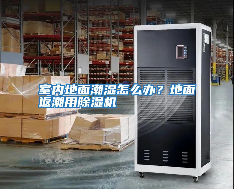 室內(nèi)地面潮濕怎么辦？地面返潮用除濕機(jī)