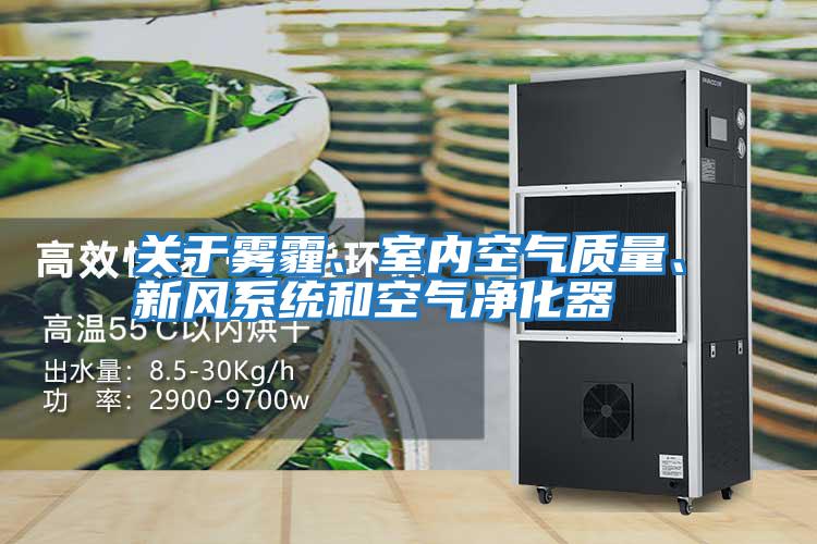 關于霧霾、室內空氣質量、新風系統和空氣凈化器