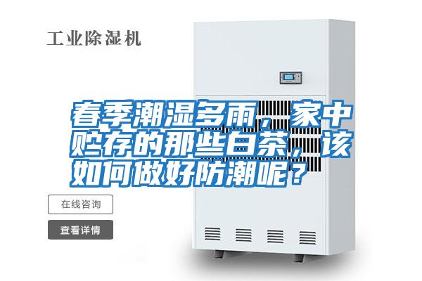 春季潮濕多雨,家中貯存的那些白茶,該如何做好防潮呢?