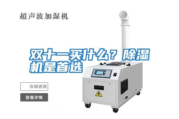 雙十一買什么？除濕機是首選