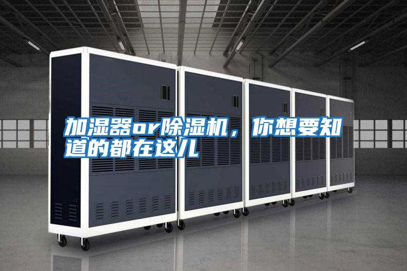 加濕器or除濕機，你想要知道的都在這兒