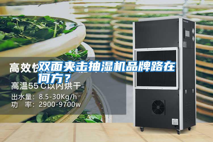 雙面夾擊抽濕機品牌路在何方？