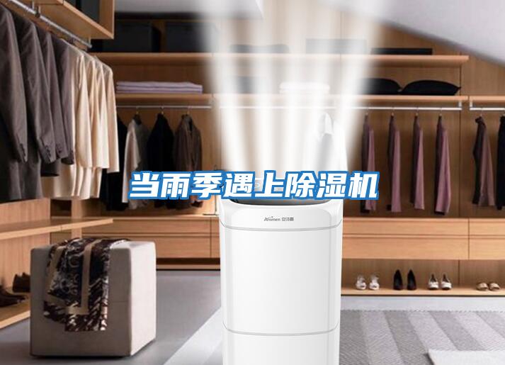 當雨季遇上除濕機