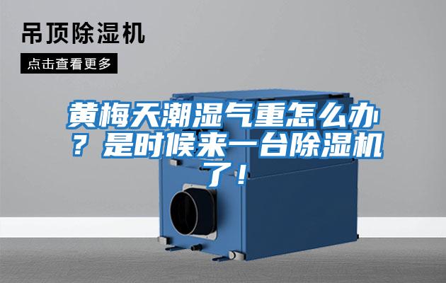 黃梅天潮濕氣重怎么辦？是時候來一臺除濕機了！