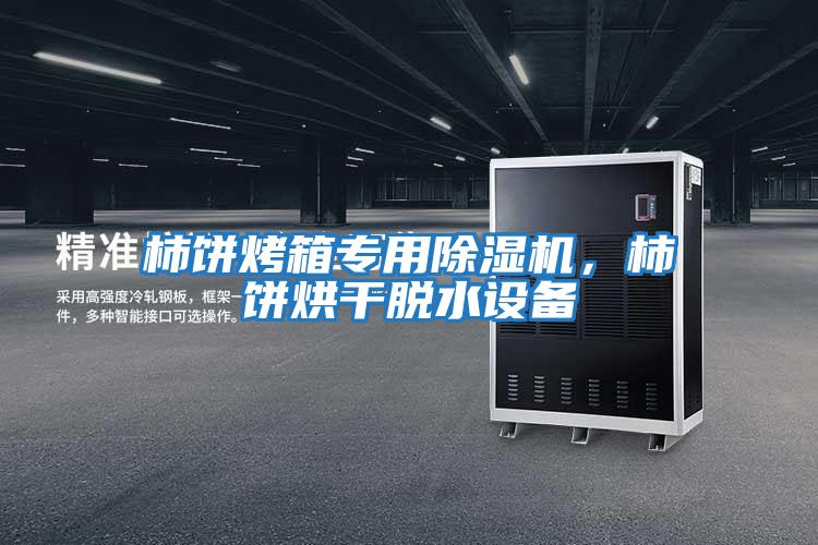 柿餅烤箱專用除濕機，柿餅烘干脫水設備