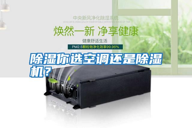 除濕你選空調(diào)還是除濕機？