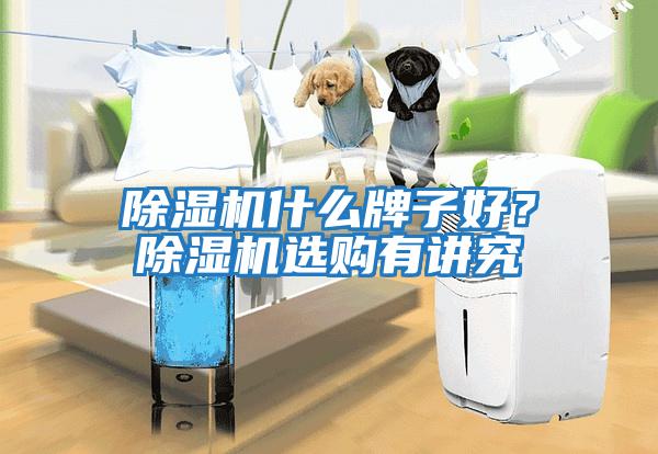 除濕機什么牌子好？除濕機選購有講究