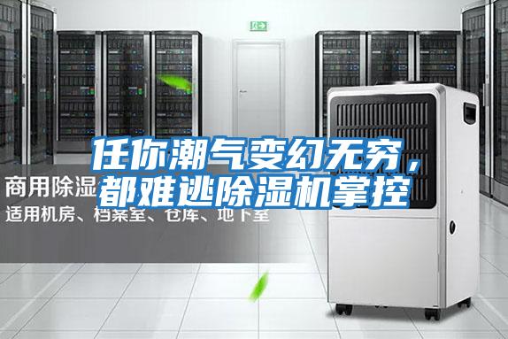 任你潮氣變幻無(wú)窮，都難逃除濕機(jī)掌控