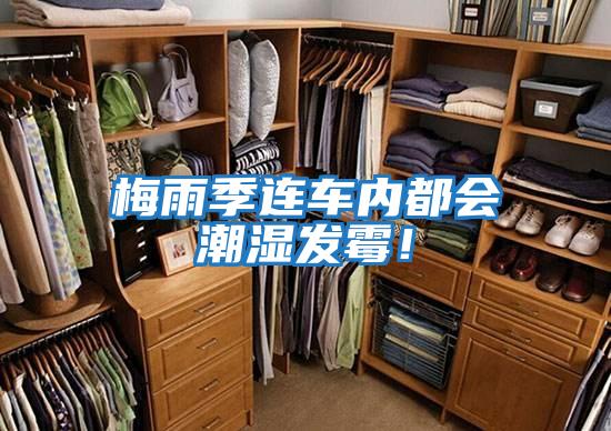 梅雨季連車內(nèi)都會潮濕發(fā)霉！