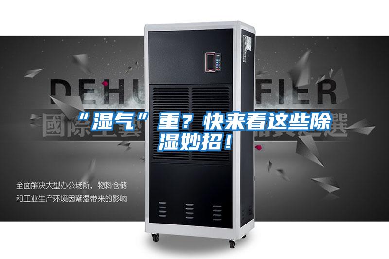 “濕氣”重？快來看這些除濕妙招！