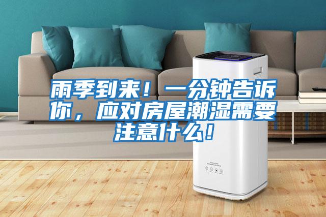 雨季到來！一分鐘告訴你，應(yīng)對(duì)房屋潮濕需要注意什么！