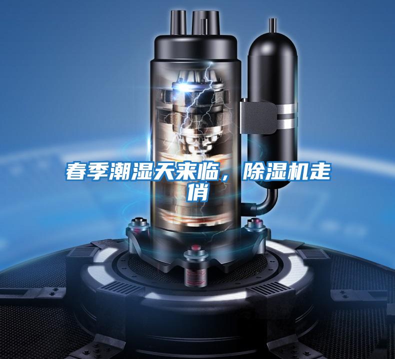 春季潮濕天來臨,除濕機走俏