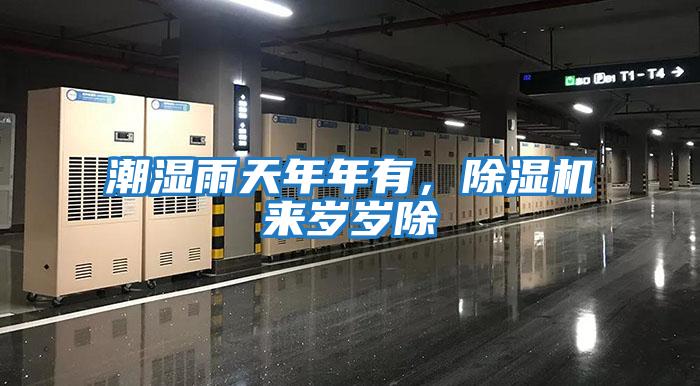 潮濕雨天年年有，除濕機來歲歲除