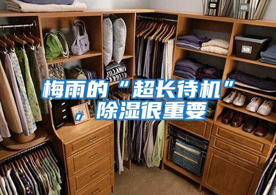 梅雨的“超長(zhǎng)待機(jī)”，除濕很重要