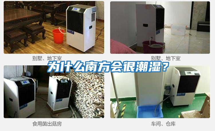 為什么南方會很潮濕？