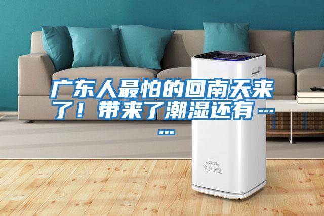 廣東人最怕的回南天來(lái)了！帶來(lái)了潮濕還有……
