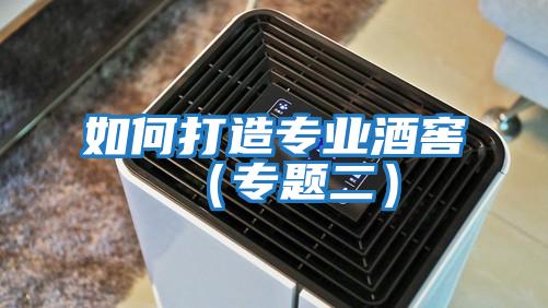 如何打造專業(yè)酒窖(專題二)