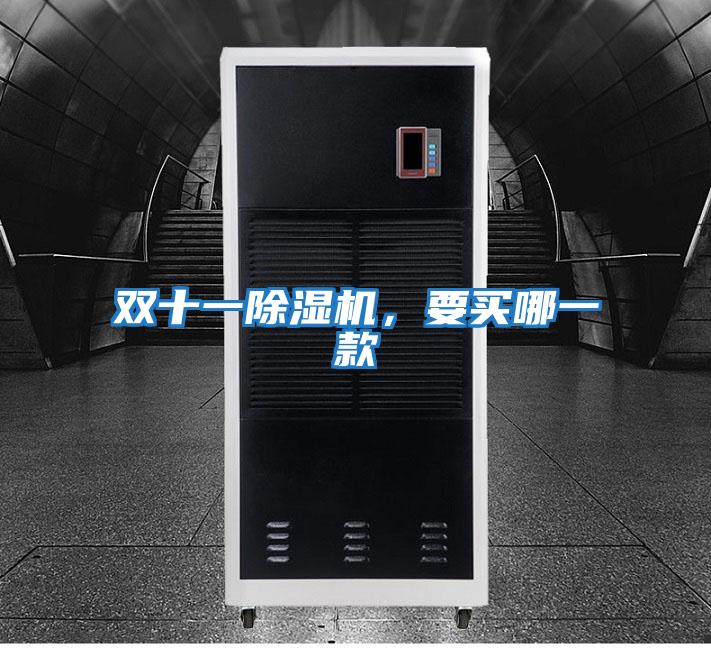 雙十一除濕機，要買哪一款