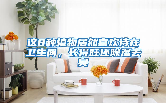 這8種植物居然喜歡待在衛生間，長得旺還除濕去臭