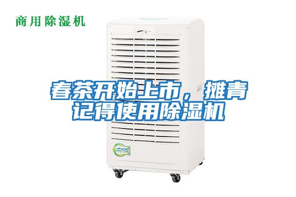 春茶開(kāi)始上市，攤青記得使用除濕機(jī)