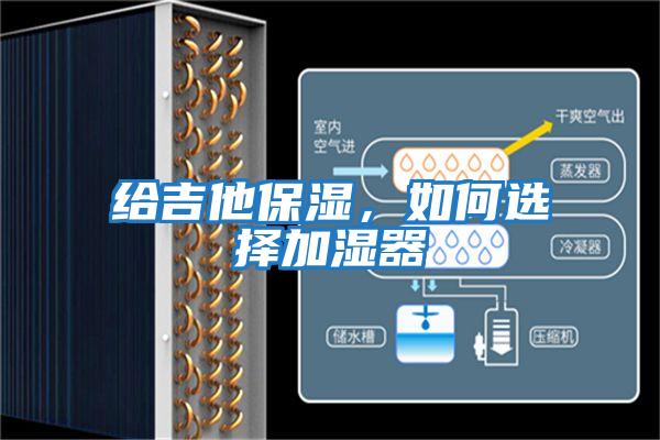 給吉他保濕，如何選擇加濕器