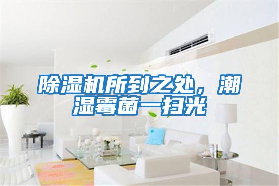 除濕機所到之處，潮濕霉菌一掃光