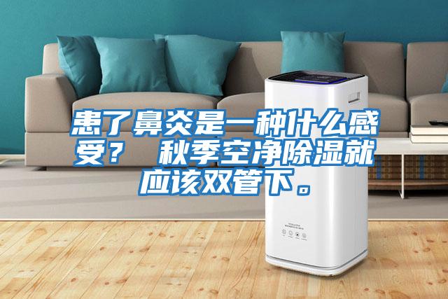 患了鼻炎是一種什么感受？ 秋季空凈除濕就應該雙管下。