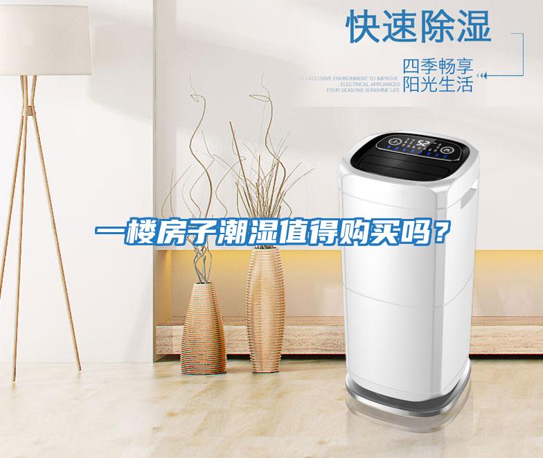 一樓房子潮濕值得購買嗎？
