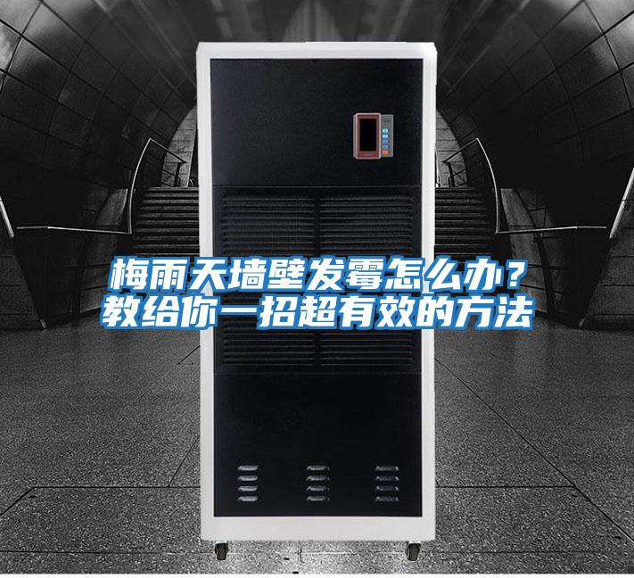 梅雨天墻壁發(fā)霉怎么辦？教給你一招超有效的方法