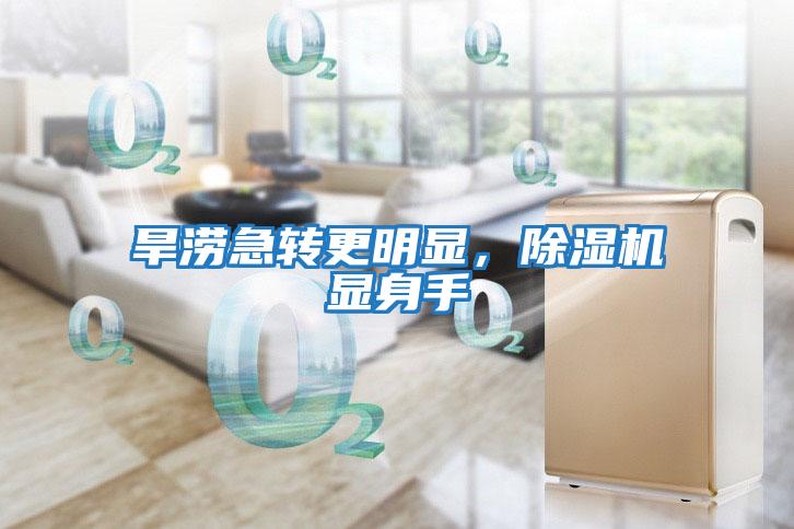 旱澇急轉更明顯，除濕機顯身手