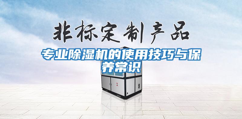 專業除濕機的使用技巧與保養常識