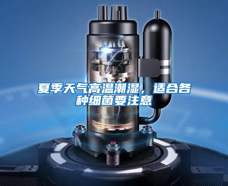 夏季天氣高溫潮濕,適合各種細菌要注意