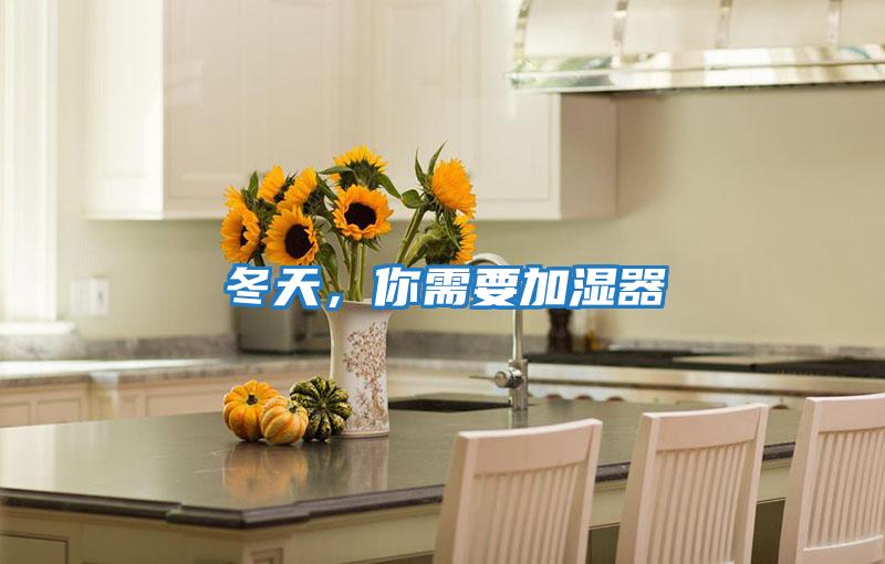 冬天，你需要加濕器