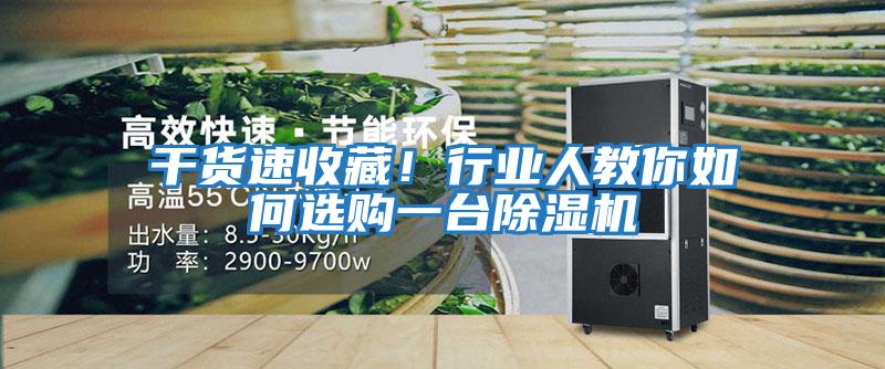 干貨速收藏！行業人教你如何選購一臺除濕機