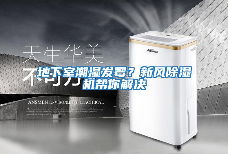 地下室潮濕發霉？新風除濕機幫你解決