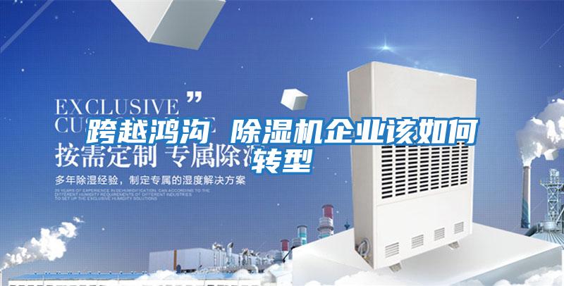 跨越鴻溝 除濕機企業該如何轉型