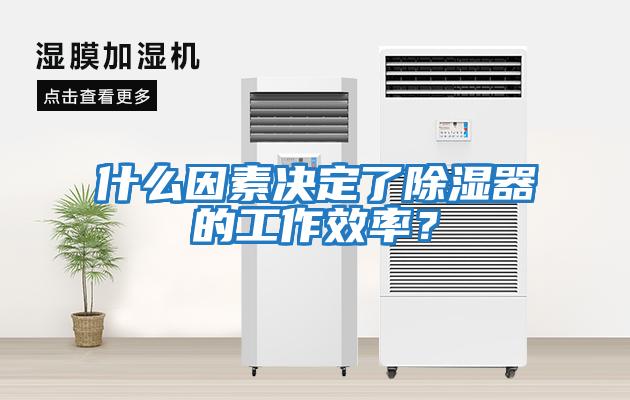 什么因素決定了除濕器的工作效率？