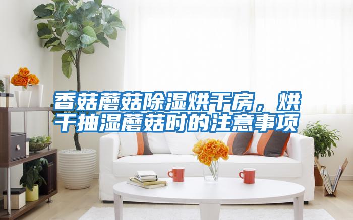 香菇蘑菇除濕烘干房，烘干抽濕蘑菇時的注意事項