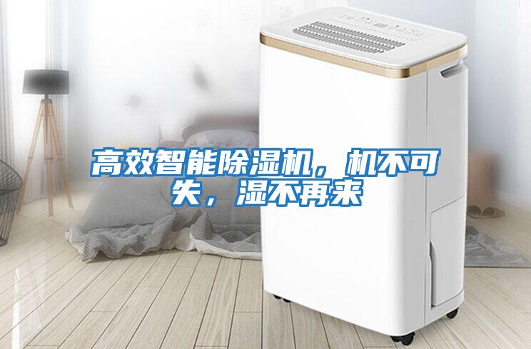 高效智能除濕機(jī)，機(jī)不可失，濕不再來(lái)