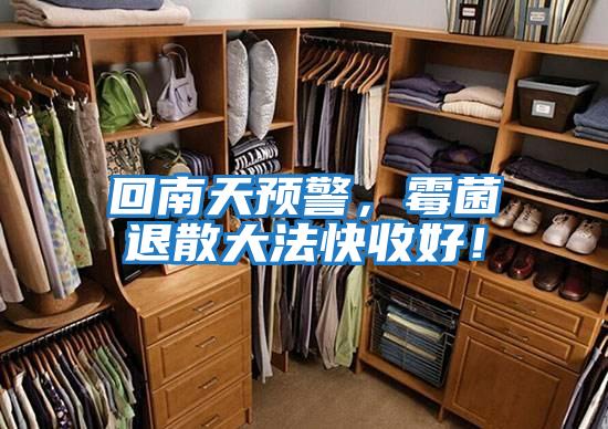 回南天預警，霉菌退散大法快收好！