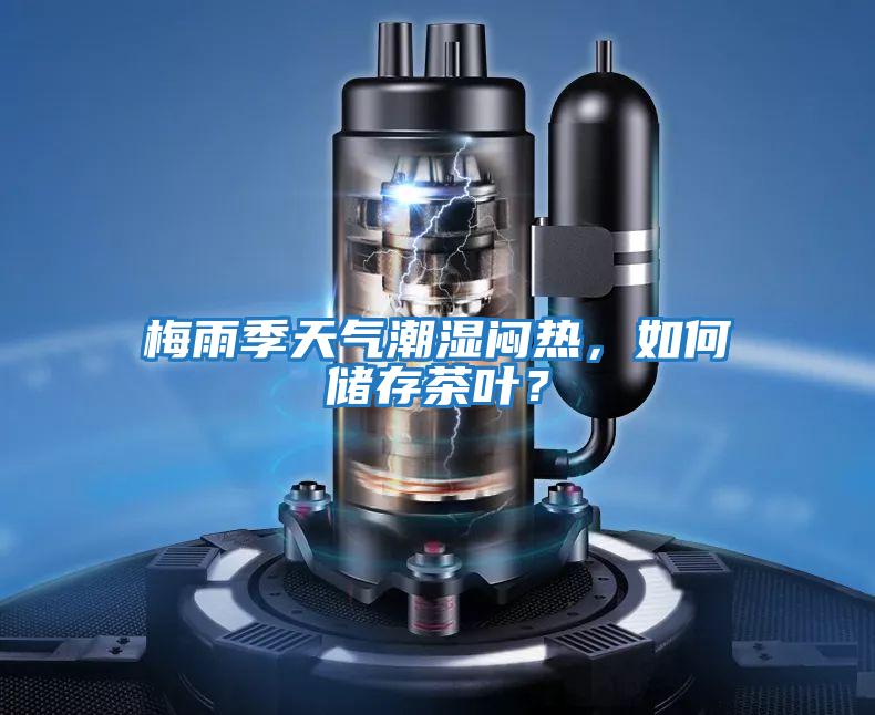 梅雨季天氣潮濕悶熱，如何儲存茶葉？